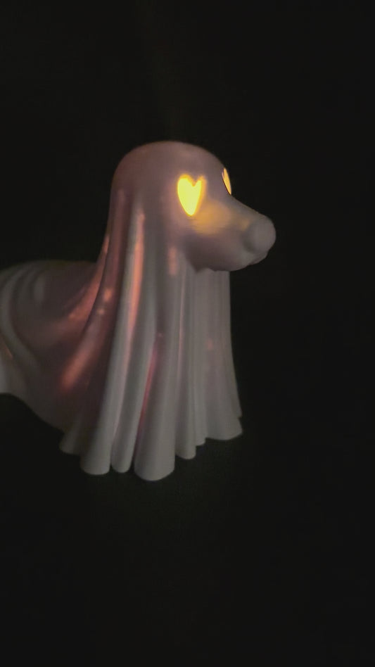 Spooker-shire Terrier